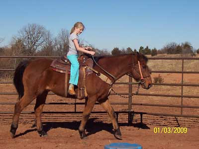 Cookie under saddle