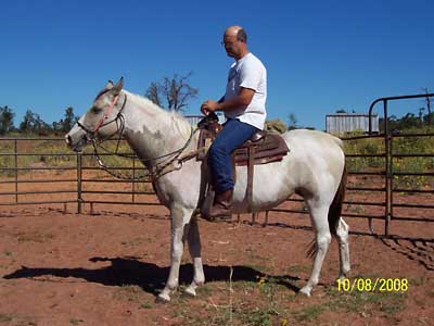Sheba under saddle, Oct 2008
