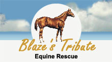 Blaze's Tribute Equine Rescue