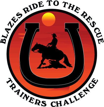 2016 Trainers Challenge