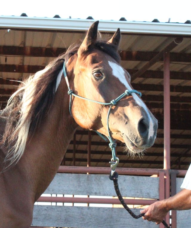 Sebastian